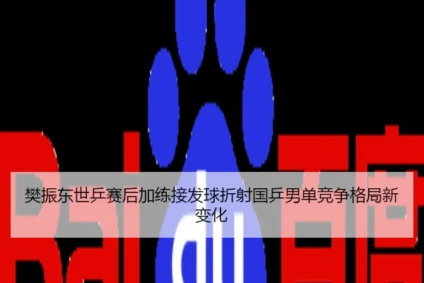 樊振东世乒赛后加练接发球折射国乒男单竞争格局新变化